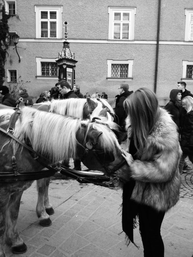 Pferd Salzburg Kutsch Mädchen